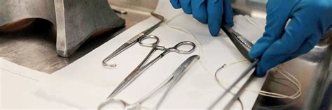 how to become an embalmer.